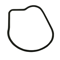 O-ring corpo pompa Honda 91356-ZV5-000