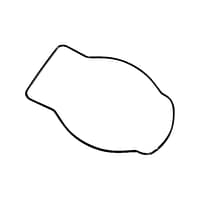 Guarnizione base corpo pompa Honda 91358-ZY3-003